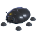 Giant Black Scarab